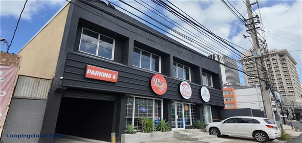 133 C. O'NEILL, ROAD San Juan Puerto Rico, 00918 | Commercial Open Space for Sale