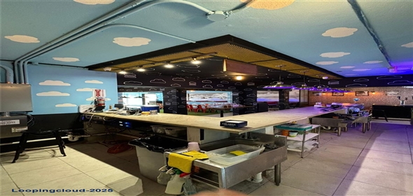 133 C. O'NEILL, ROAD San Juan Puerto Rico, 00918 | Commercial Open Space for Sale