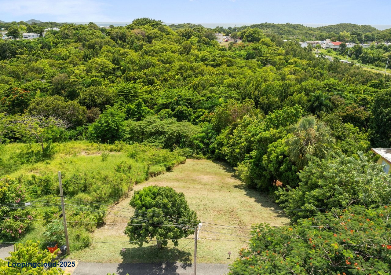 62024, Build your dream home in paradise