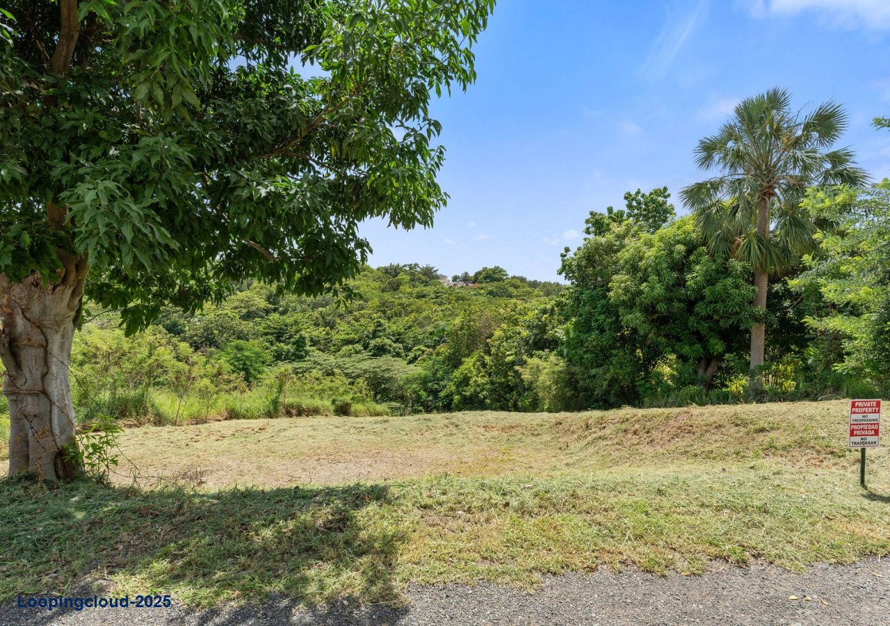 62024, Build your dream home in paradise