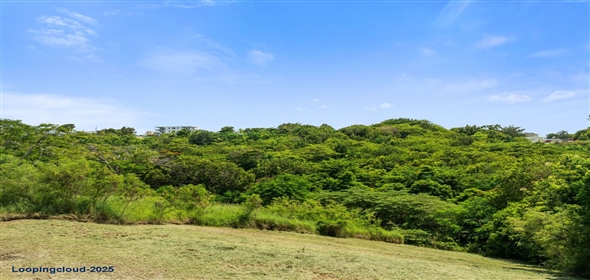 Bo Puntas- Carr 413 KM 4.4 Int Rincon Puerto Rico, 00677 | 62024, Build your dream home in paradise