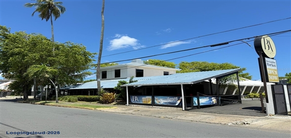 33 & 35 CAOBA San Juan Puerto Rico, 00913 | 33 & 35 CAOBA, SAN JUAN, PR 00913