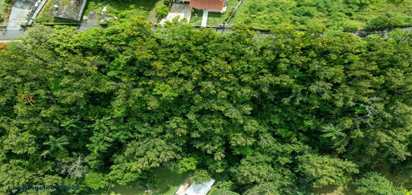 Bo Cruces- Carr 414 KM .35, Rincón, Puerto Rico, 00677 Rincon Puerto Rico, 00677 | 60376, Build your dream where the mountains meet the sea