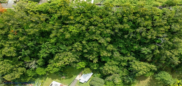 Bo Cruces- Carr 414 KM .35, Rincón, Puerto Rico, 00677 Rincon Puerto Rico, 00677 | 60376, Build your dream where the mountains meet the sea