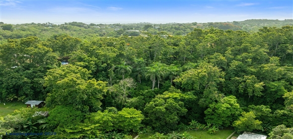 Bo Cruces- Carr 414 KM .35, Rincón, Puerto Rico, 00677 Rincon Puerto Rico, 00677 | 60376, Build your dream where the mountains meet the sea