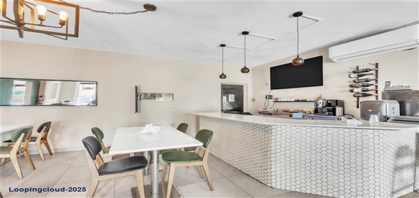 3038 AVENIDA ISLA VERDE AVENUE Adjuntas Puerto Rico, 00979 | Commercial Investment in Carolina