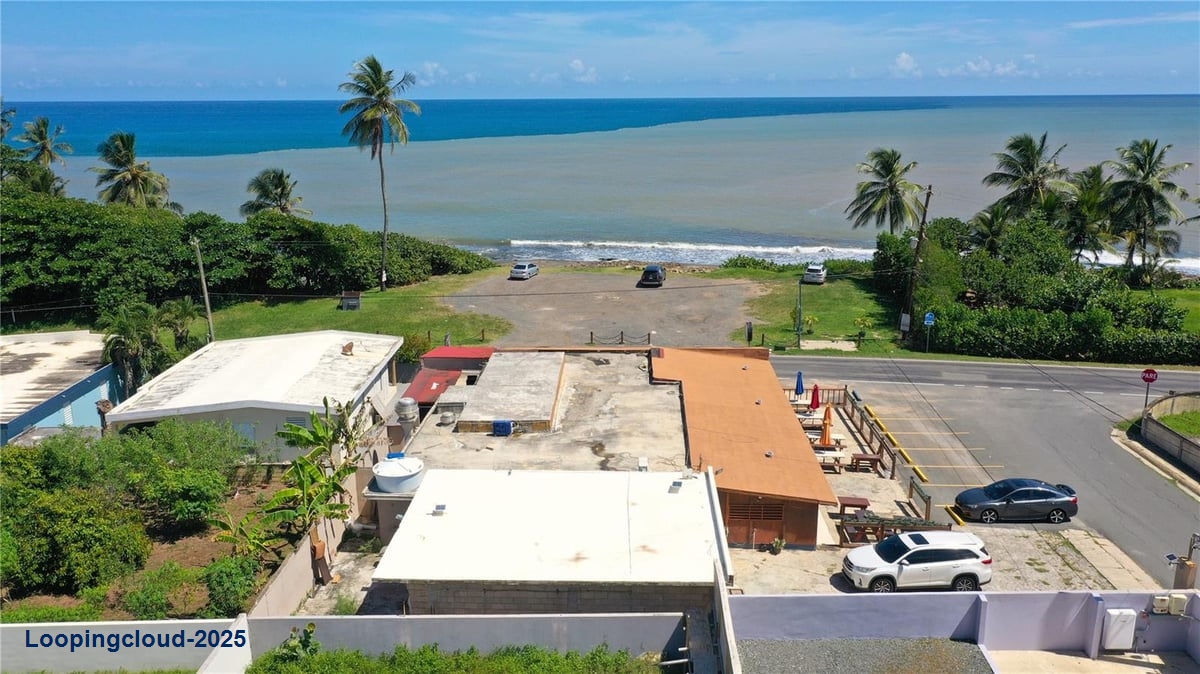 Commercial Property for Sale in Barceloneta Puerto Rico 00617