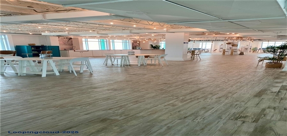 1519, PARADA 23 AVE. PONCE DE LEÓN, ESQ CALLE DEL PARQUE San Juan Puerto Rico, 00908 | 1519, PARADA 23 AVE. PONCE DE LEÓN, ESQ CALLE DEL PARQUE, SAN JUAN, PR 00908