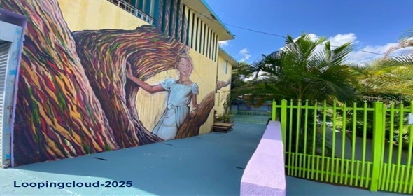 Cristobal Colon CAGUAS PUEBLO Caguas Puerto Rico, 00725 | Commercial Building, Caguas, PR