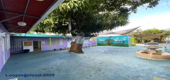 Cristobal Colon CAGUAS PUEBLO Caguas Puerto Rico, 00725 | Commercial Building, Caguas, PR