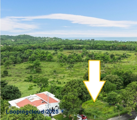 55918, CALVACHE LOT WITH BEAUTIFUL OCEAN VIEW