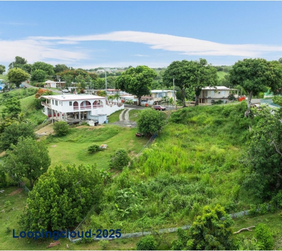 55918, CALVACHE LOT WITH BEAUTIFUL OCEAN VIEW