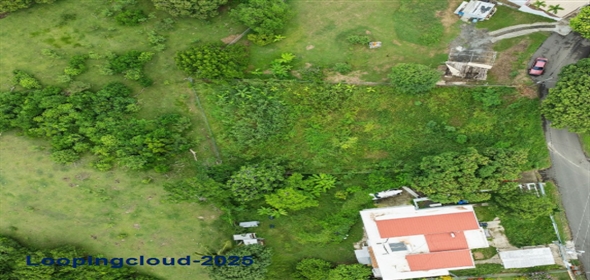 Bo Calvache-Carr 115 KM 10.8 Rincon Puerto Rico, 00677 | 55918, CALVACHE LOT WITH BEAUTIFUL OCEAN VIEW