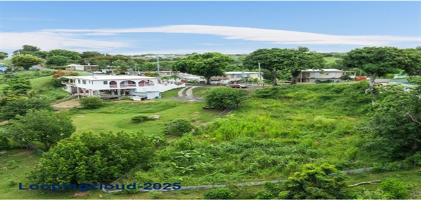 Bo Calvache-Carr 115 KM 10.8 Rincon Puerto Rico, 00677 | 55918, CALVACHE LOT WITH BEAUTIFUL OCEAN VIEW