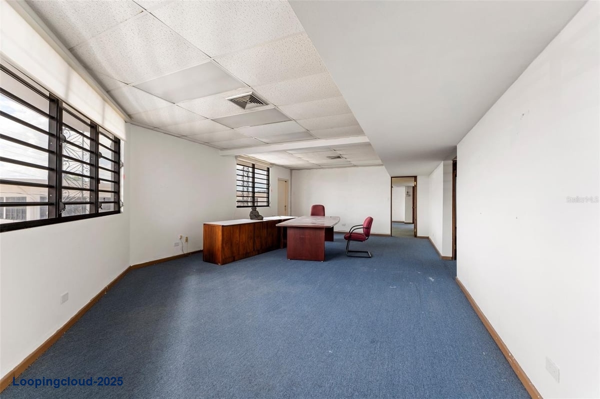 Commercial Property for Sale in SAN JUAN Puerto Rico 00919