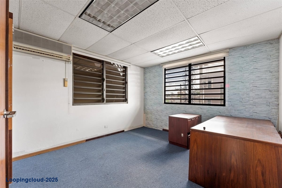 Commercial Property for Sale in SAN JUAN Puerto Rico 00919