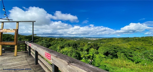 PR 722 CORNER 162KM 0.0 Aibonito Puerto Rico, 00705 | PR 722 CORNER 162KM 0.0, AIBONITO, PR 00705