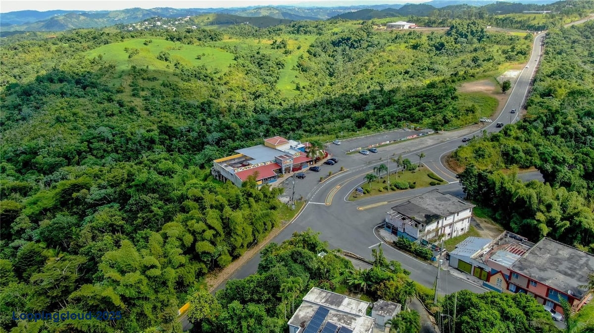 Commercial Property for Sale in Aibonito Puerto Rico 00705
