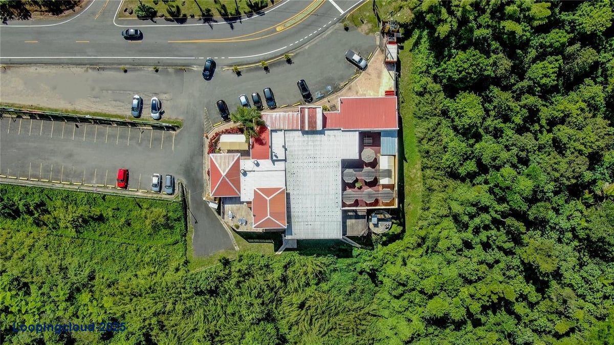 Commercial Property for Sale in Aibonito Puerto Rico 00705
