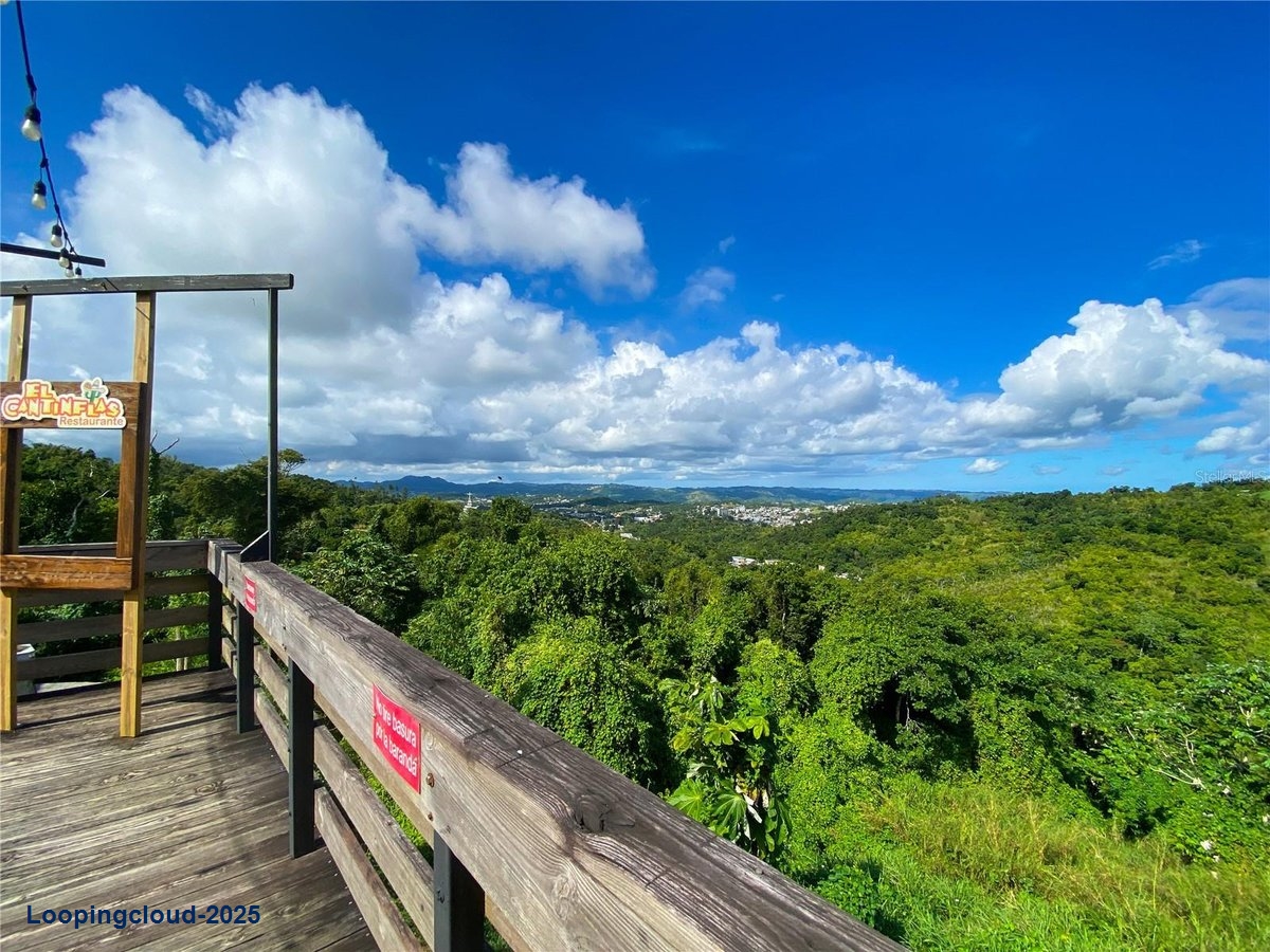 Commercial Property for Sale in Aibonito Puerto Rico 00705