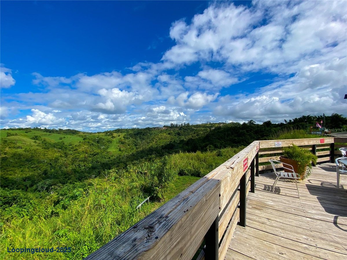 Commercial Property for Sale in Aibonito Puerto Rico 00705