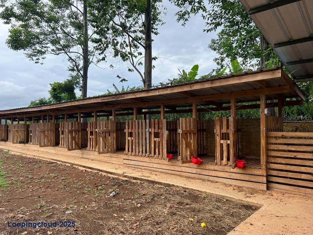 Commercial Property for Sale in Corozal Puerto Rico 00783