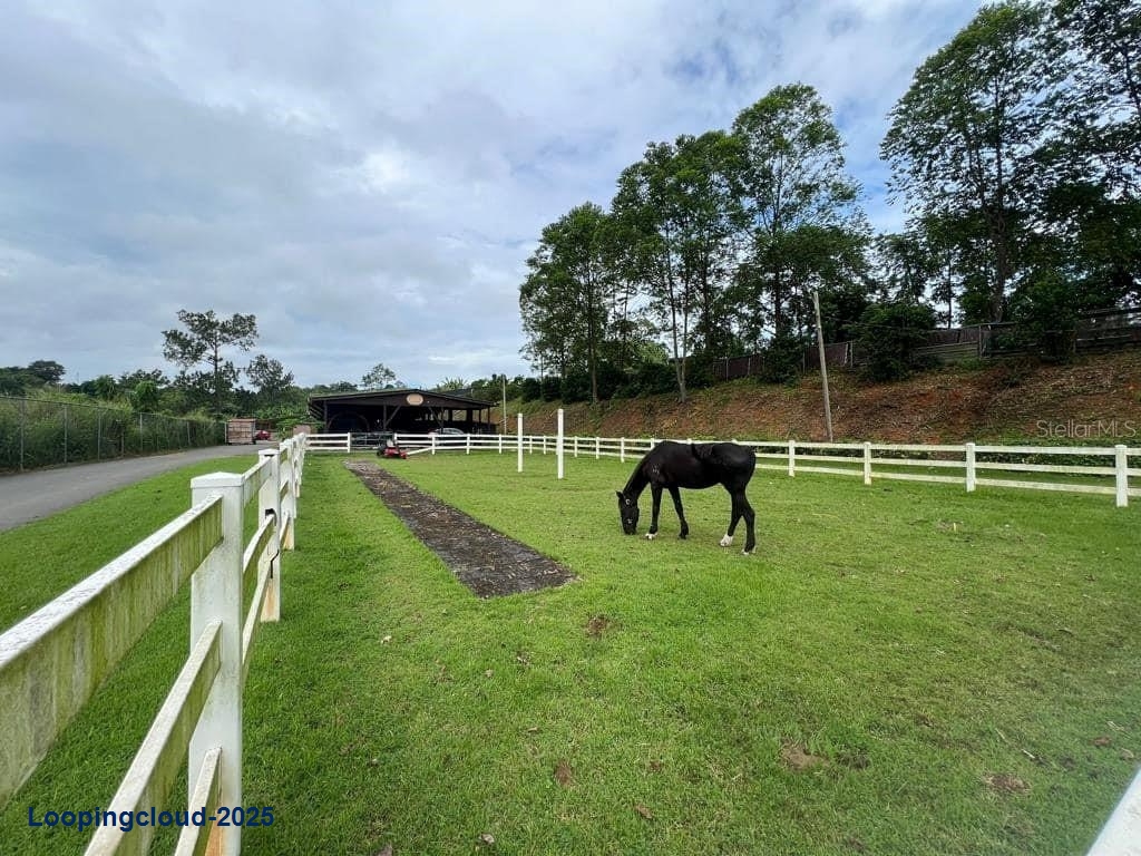 Commercial Property for Sale in Corozal Puerto Rico 00783