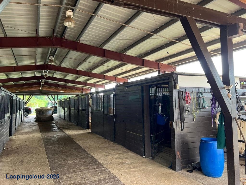 Commercial Property for Sale in Corozal Puerto Rico 00783