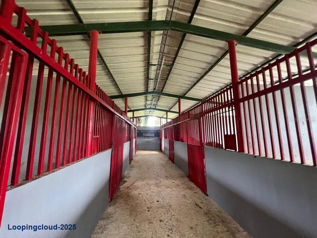 Commercial Property for Sale in Corozal Puerto Rico 00783