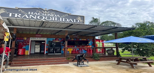 CARR 164 KM 14.4 INT SEC HACIENDA TRANQUILIDAD Corozal Puerto Rico, 00783 | CARR 164 KM 14.4 INT SEC HACIENDA TRANQUILIDAD, COROZAL, PR 00783