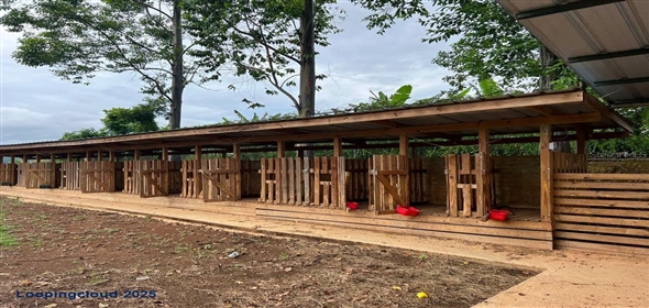 CARR 164 KM 14.4 INT SEC HACIENDA TRANQUILIDAD Corozal Puerto Rico, 00783 | CARR 164 KM 14.4 INT SEC HACIENDA TRANQUILIDAD, COROZAL, PR 00783