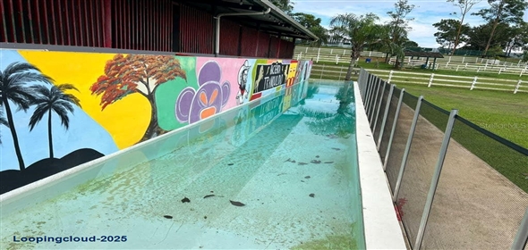 CARR 164 KM 14.4 INT SEC HACIENDA TRANQUILIDAD Corozal Puerto Rico, 00783 | CARR 164 KM 14.4 INT SEC HACIENDA TRANQUILIDAD, COROZAL, PR 00783