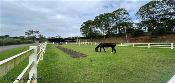 CARR 164 KM 14.4 INT SEC HACIENDA TRANQUILIDAD Corozal Puerto Rico, 00783 | CARR 164 KM 14.4 INT SEC HACIENDA TRANQUILIDAD, COROZAL, PR 00783