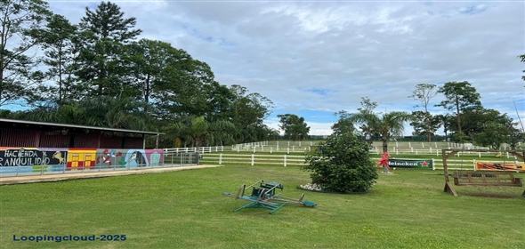 CARR 164 KM 14.4 INT SEC HACIENDA TRANQUILIDAD Corozal Puerto Rico, 00783 | CARR 164 KM 14.4 INT SEC HACIENDA TRANQUILIDAD, COROZAL, PR 00783