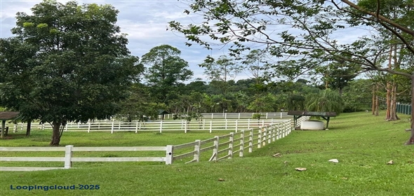 CARR 164 KM 14.4 INT SEC HACIENDA TRANQUILIDAD Corozal Puerto Rico, 00783 | CARR 164 KM 14.4 INT SEC HACIENDA TRANQUILIDAD, COROZAL, PR 00783