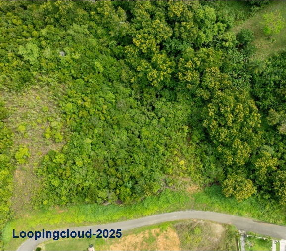 60373, Build Your Dream with a View