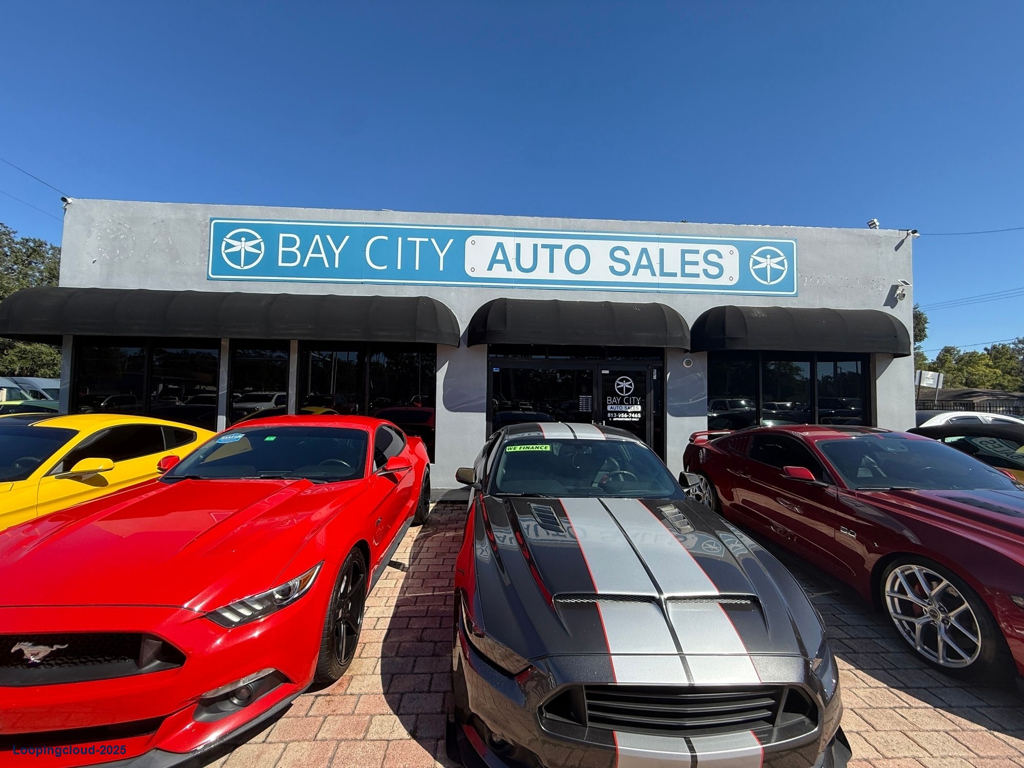 High Visibility Turn-key Auto Dealership on N Florida Ave.