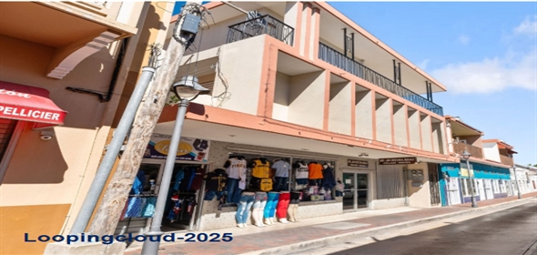 SECTOR COMBATE- CARR 3301, Cabo Rojo, Puerto Rico, 00623 Cabo Rojo Puerto Rico, 00623 | 59130, Commercial & residential building generating income