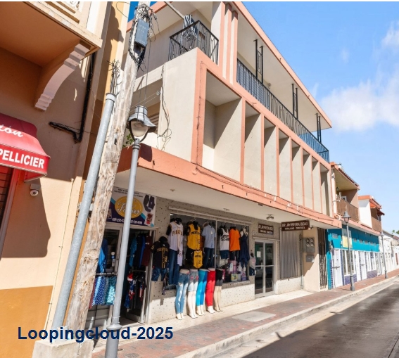 Commercial Property for Sale in Cabo Rojo Puerto Rico 00623