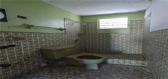 2 CALLE RICHARDSON Villalba Puerto Rico, 00762 | Exclusive Investment Opportunity in Cayo Blanco