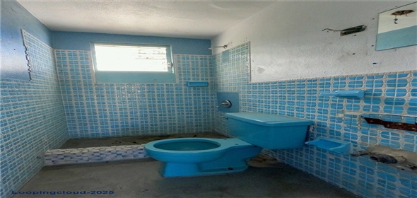 2 CALLE RICHARDSON Villalba Puerto Rico, 00762 | Exclusive Investment Opportunity in Cayo Blanco