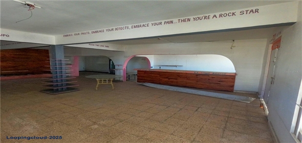 2 CALLE RICHARDSON Villalba Puerto Rico, 00762 | Exclusive Investment Opportunity in Cayo Blanco