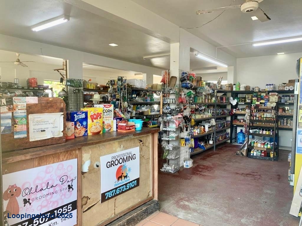 Commercial Property for Sale in Isabela Puerto Rico 00662