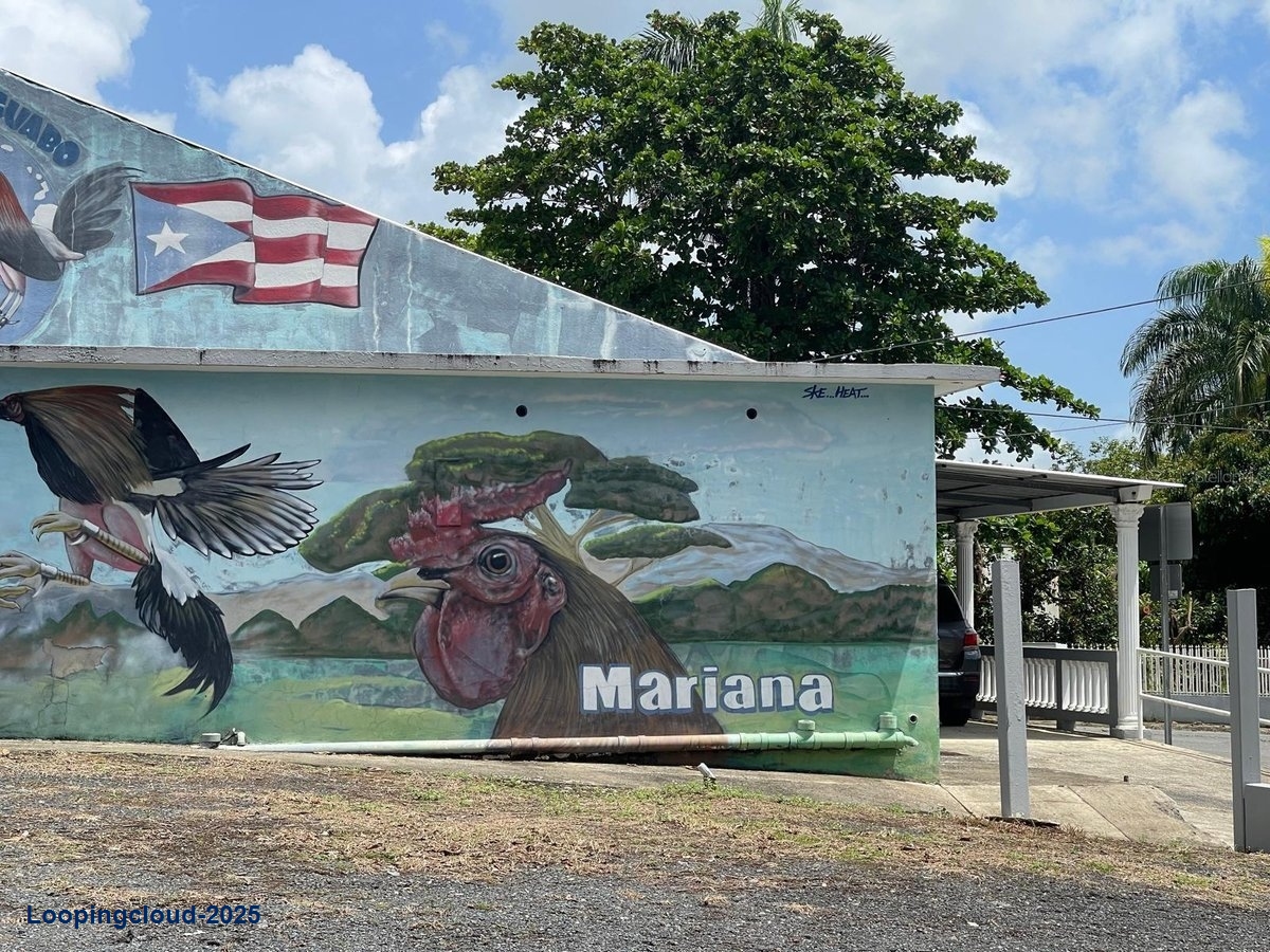 Commercial Property for Sale in Naguabo Puerto Rico 00718