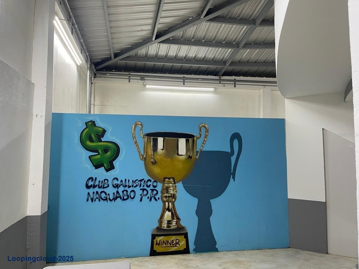 Commercial Property for Sale in Naguabo Puerto Rico 00718