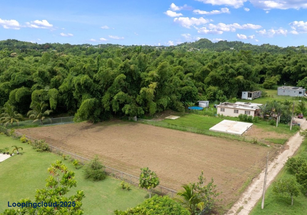 61413, Flat lot in Guayabo, Aguada