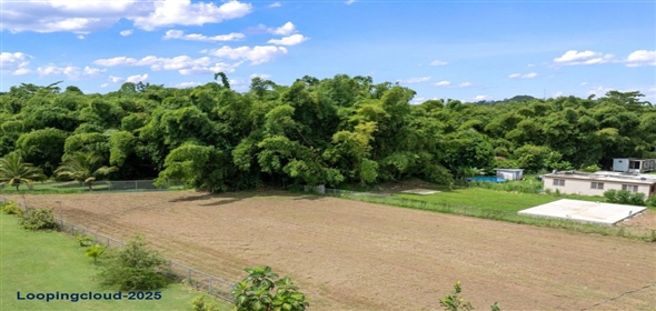 Bo Guayabo- Carr 411 KM HM 2.0- Sector Miguel Correa, Aguada, Puerto Rico, 00602 Adjuntas Puerto Rico, 00602 | 61413, Flat lot in Guayabo, Aguada