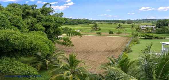 Bo Guayabo- Carr 411 KM HM 2.0- Sector Miguel Correa, Aguada, Puerto Rico, 00602 Adjuntas Puerto Rico, 00602 | 61413, Flat lot in Guayabo, Aguada