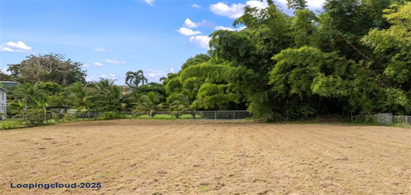 Bo Guayabo- Carr 411 KM HM 2.0- Sector Miguel Correa, Aguada, Puerto Rico, 00602 Adjuntas Puerto Rico, 00602 | 61413, Flat lot in Guayabo, Aguada