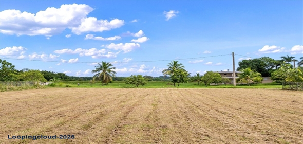 Bo Guayabo- Carr 411 KM HM 2.0- Sector Miguel Correa, Aguada, Puerto Rico, 00602 Adjuntas Puerto Rico, 00602 | 61413, Flat lot in Guayabo, Aguada